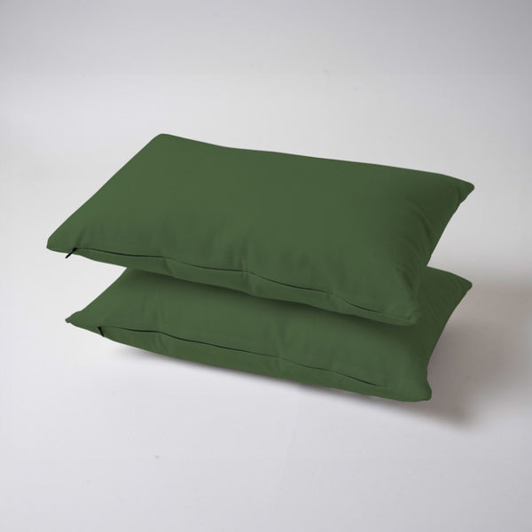 Leslie Sofa Cushion (Light Green) - Set Of Two