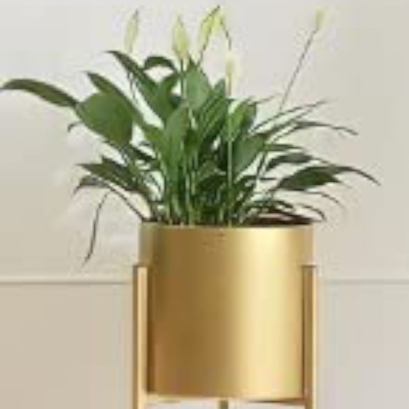 Pots & Planters - Wero Metal Floor Planter