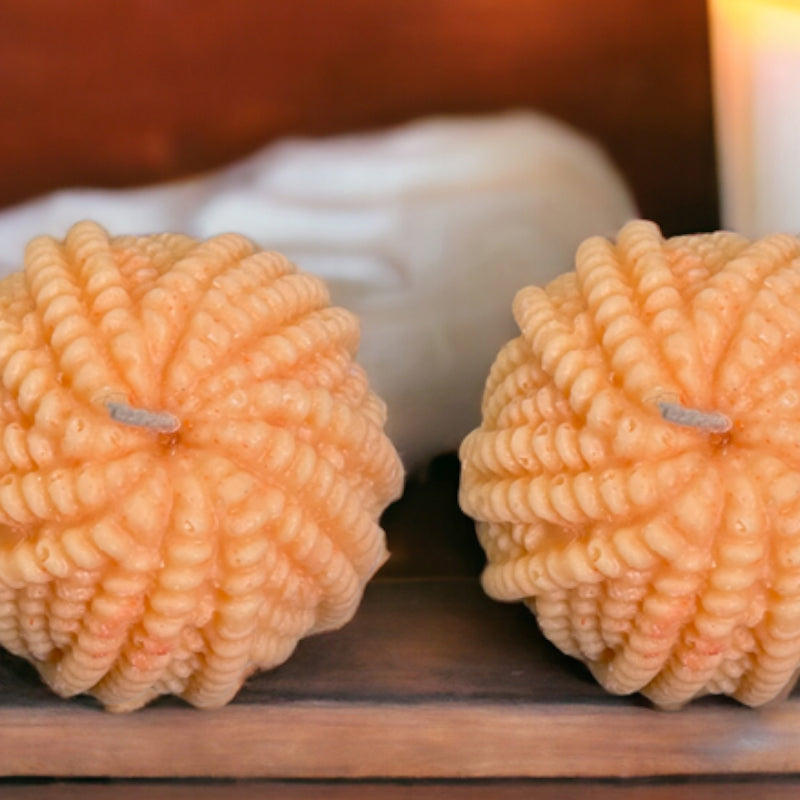 Buy Fur Ball Orange Scented Candle - Set Of Two Candles from Vaaree