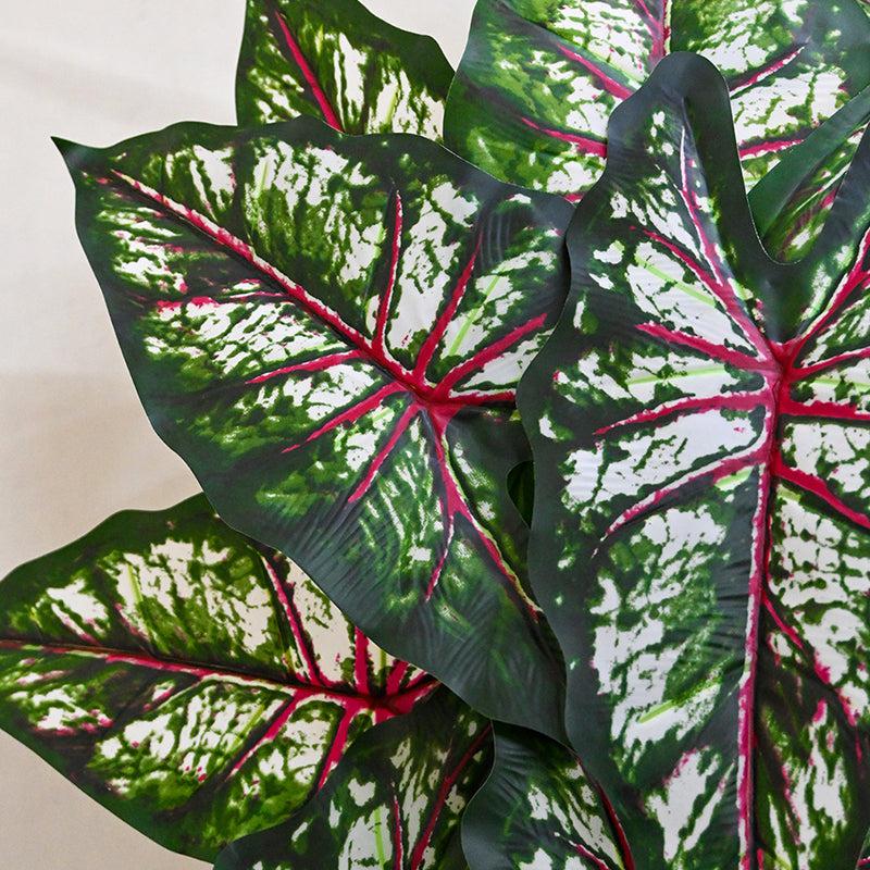 Buy Faux Everlasting Tropical Caladium Plant With Pot - 2.6 Feet Artificial Plants from Vaaree