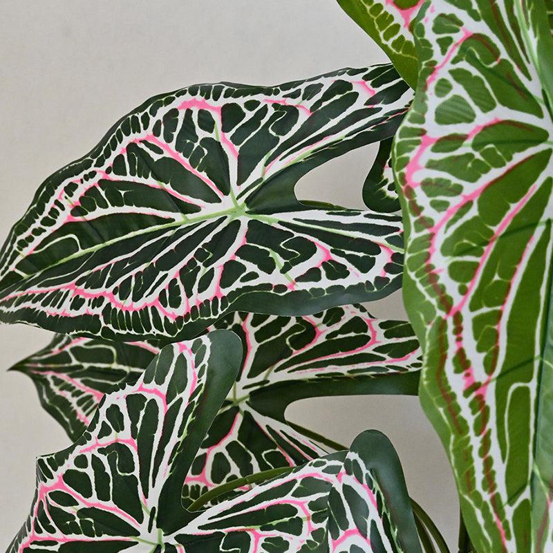 Buy Faux Everlasting Red Flash Caladium Plant With Pot - 2.6 Feet Artificial Plants from Vaaree