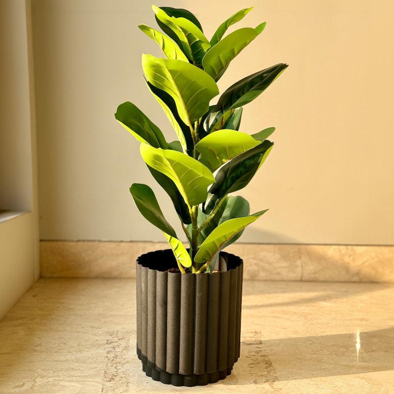 Buy Norda Nume Planter - Black Pots & Planters from Vaaree