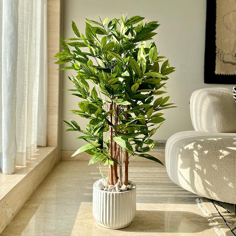 Buy Faux Dracaena Surculosa Tree - 4 Feet Artificial Plants from Vaaree