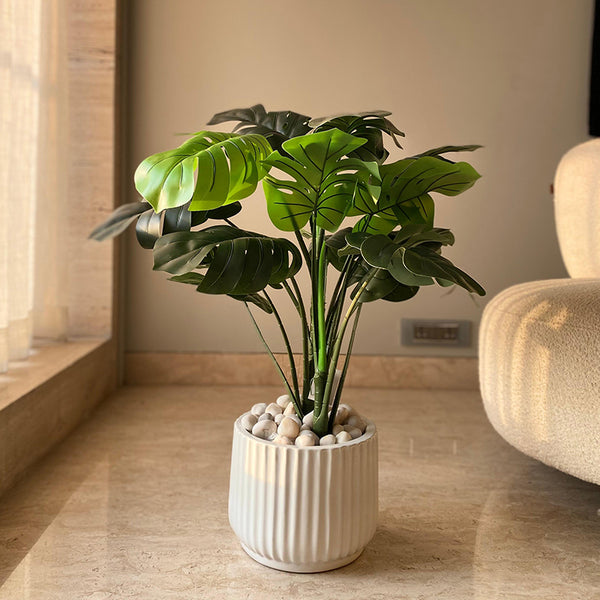 Artificial Plants - Faux Monstera Plant - 2 Feet