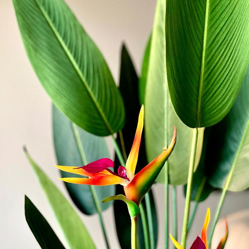 Buy Faux Strelitzia Palm Tree - 5 Feet Artificial Plants from Vaaree