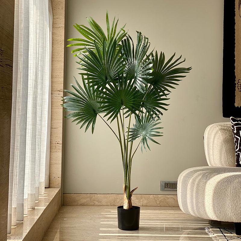 Buy Faux Fan Palm Tree - 5 Feet Artificial Plants from Vaaree