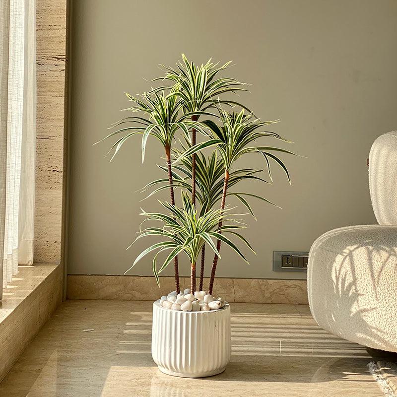 Buy Faux Spider Palm Tree - 3 Feet Artificial Plants from Vaaree