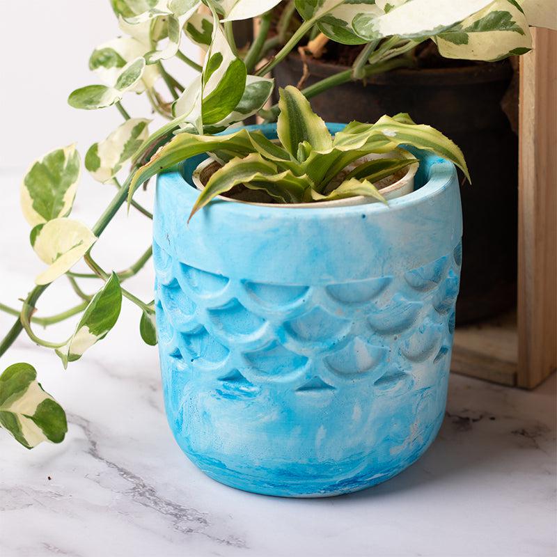 Buy Russo Roho Planter Pots & Planters from Vaaree