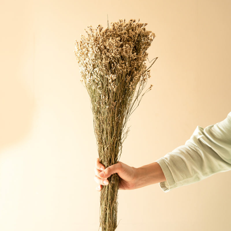 Artificial Flowers - Dried Start Grass Stem - Set Of Five