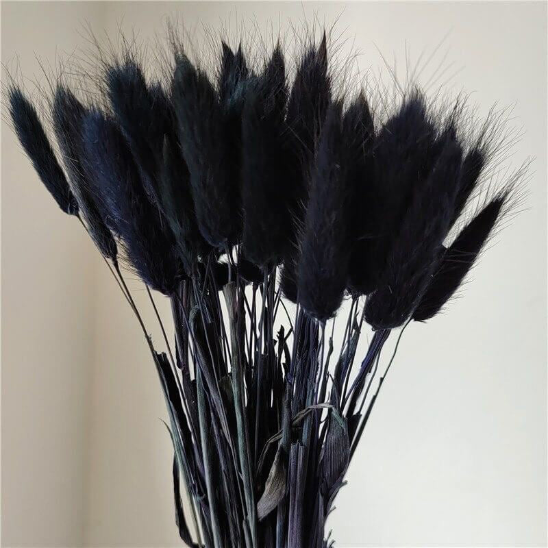 Artificial Flowers - Dried Bunny Tail Stem (Black) - Set Of Thirty