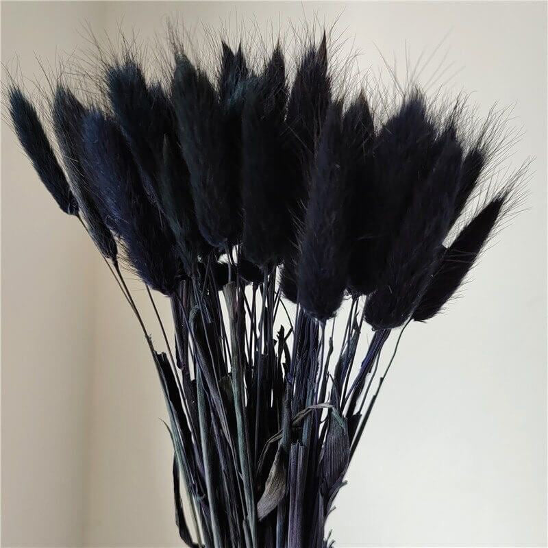 Buy Dried Bunny Tail Stem (Black) - Set Of Thirty Artificial Flowers from Vaaree