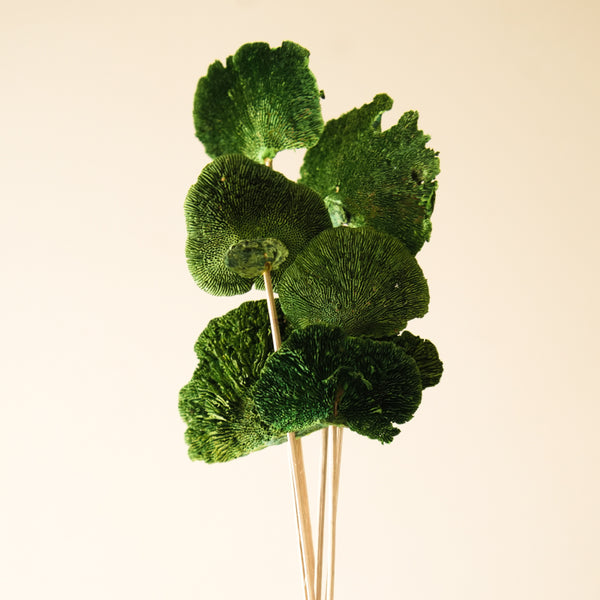 Artificial Flowers - Sponge Mushroom Bunch (Green) - Set Of Five
