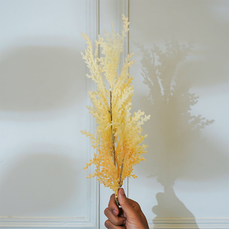 Buy Faux Asparnagus Pampas Flower Stick (White) - 25 CM Artificial Flowers from Vaaree