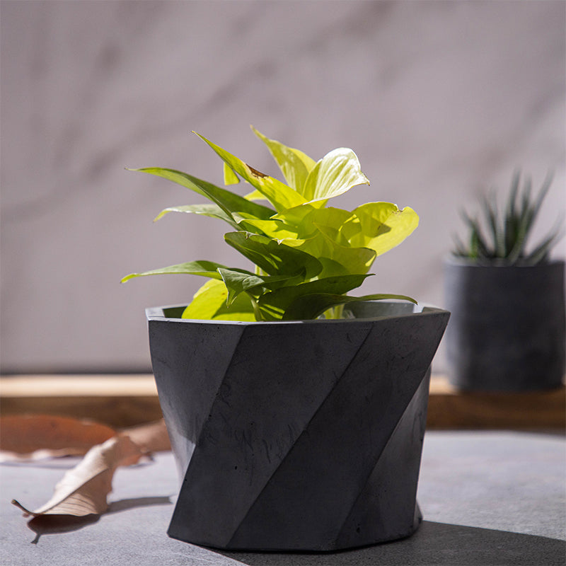 Buy Dycto Swirl Planter Pots & Planters from Vaaree