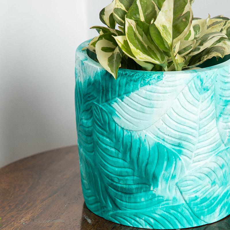 Buy Leaf Print Planter Pots & Planters from Vaaree