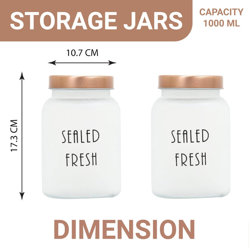 Container - Fresh Nibble Container (1000 ML) - Set Of Six