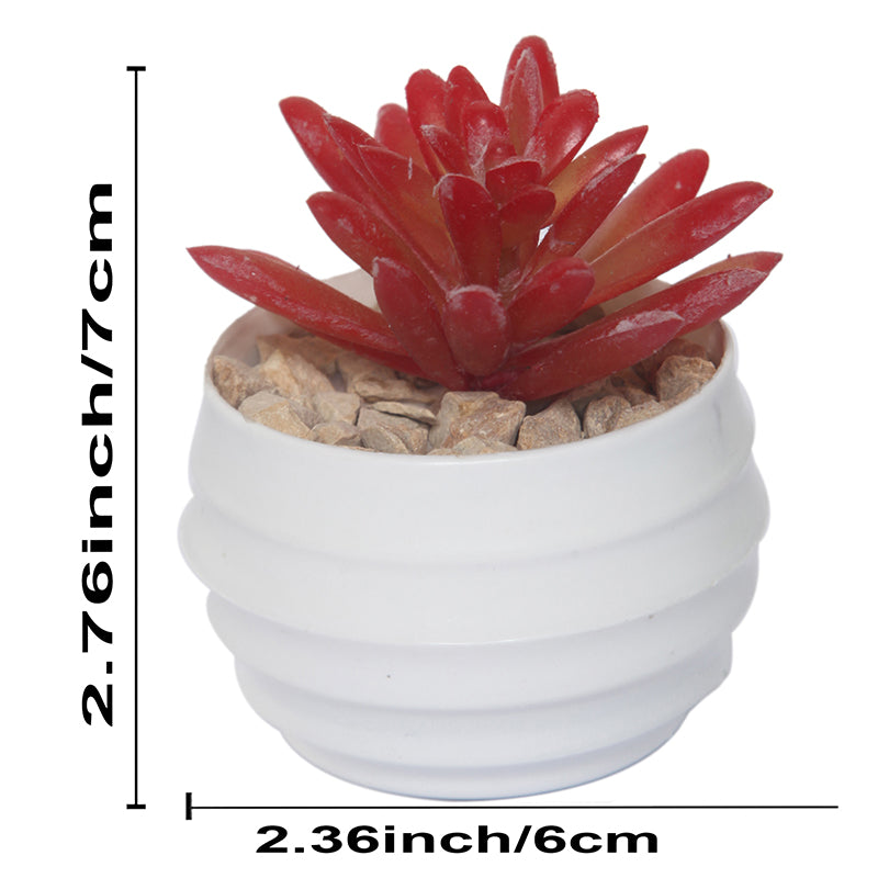 Buy Faux Moonglow Succulent With Pot Artificial Plants from Vaaree