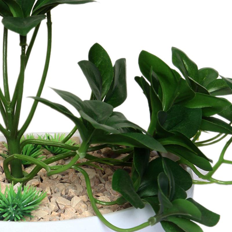 Buy Faux Norae Succulent Plant With Pot Artificial Plants from Vaaree