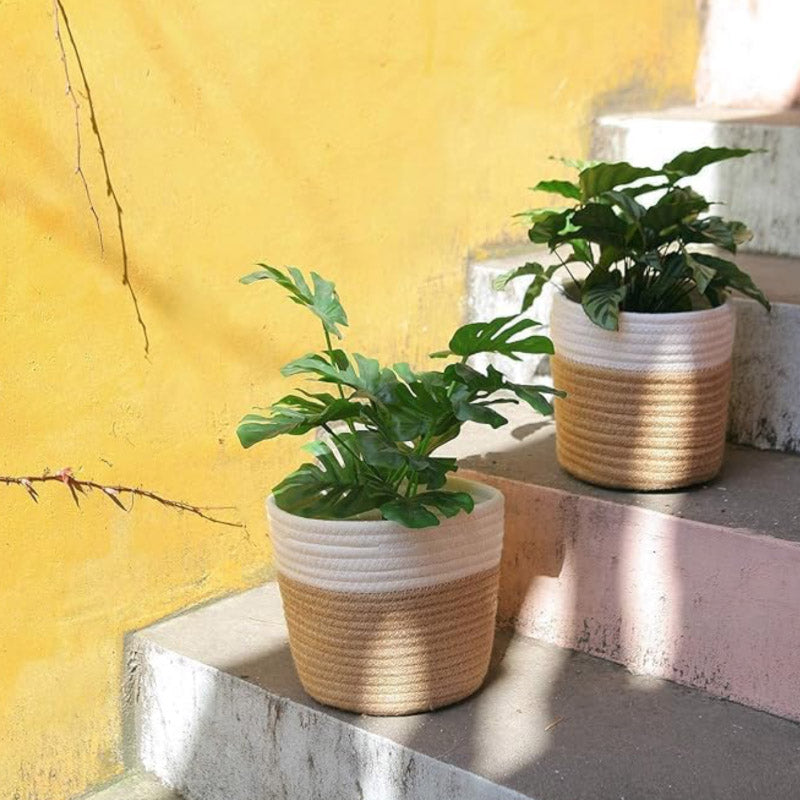 Pots & Planters - Tillie Natural Fiber Planter (White & Beige) - Set Of Two