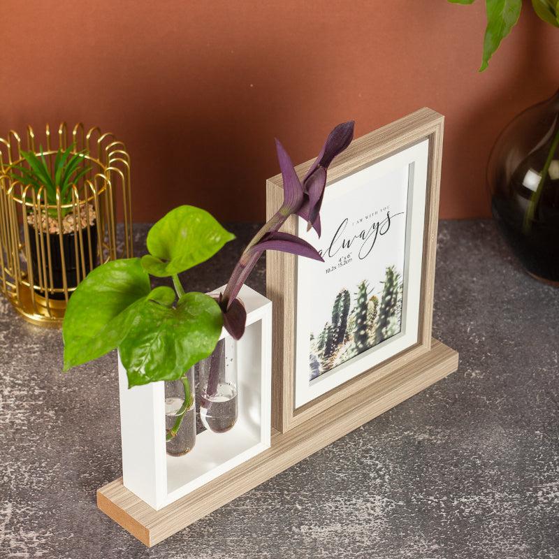 Buy Dema Photo Frame With Test Tube Planter Photo Frames from Vaaree