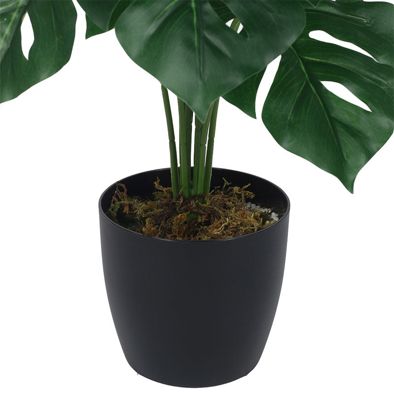 Buy Faux Multicolor Monstera Silk Plant With Pot - 55 cms Artificial Plants from Vaaree