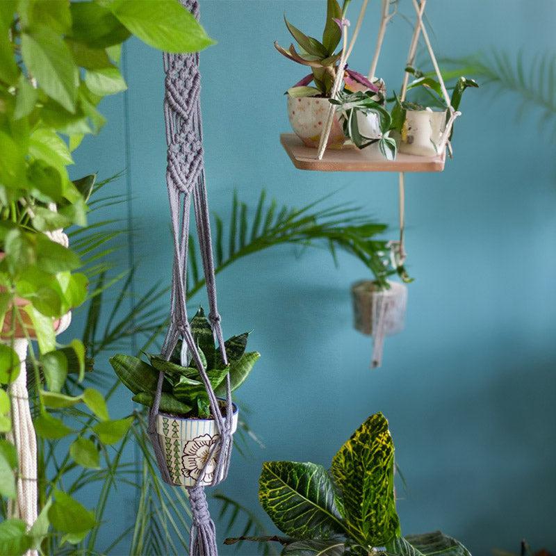 Buy Lace Cable Macrame Wall Planter Holder Pots & Planters from Vaaree