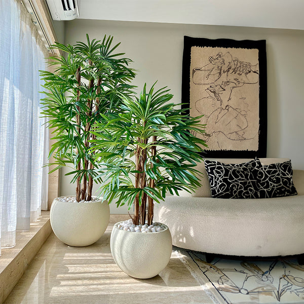 Artificial Plants - Faux Rhapis Palm Tree - 6 Feet