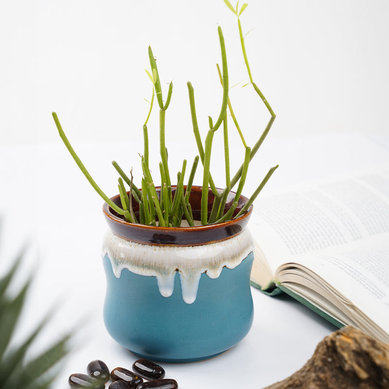 Buy Honey Drip Planter - Blue Vase from Vaaree