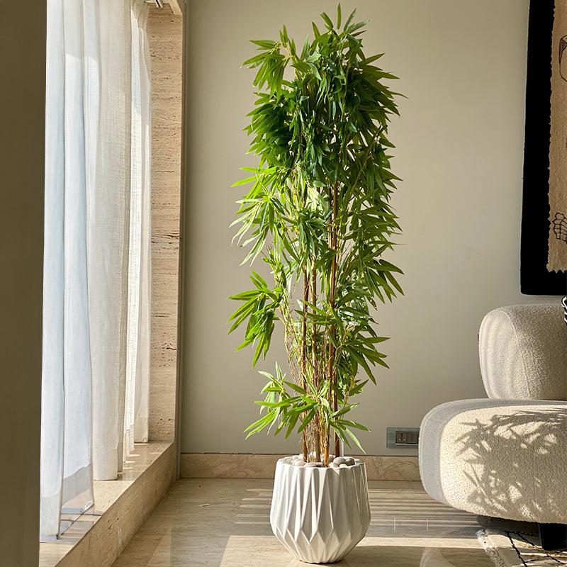 Buy Faux Drooping Bamboo Tree - 5 Feet Artificial Plants from Vaaree