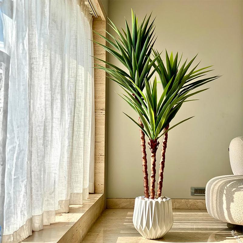 Buy Faux Yucca Tree - 6 Feet Artificial Plants from Vaaree