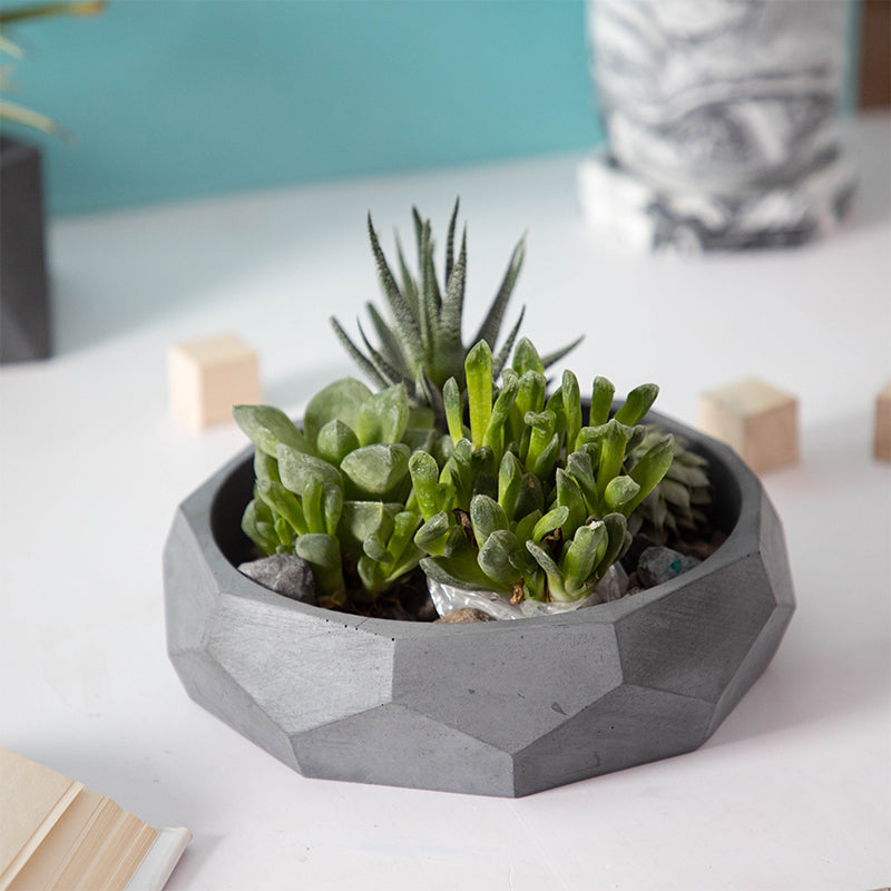 Buy Norsa Concrete Planter Pots & Planters from Vaaree