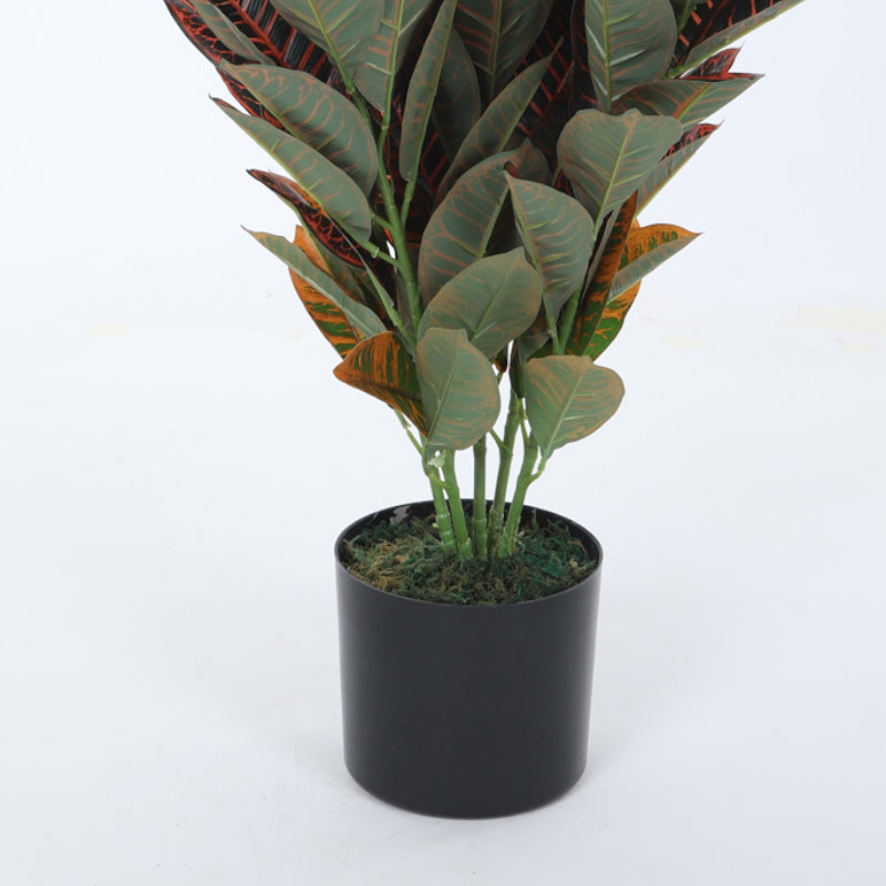 Artificial Plants - Faux Croton Astroites Plant With Pot - 2.79 ft