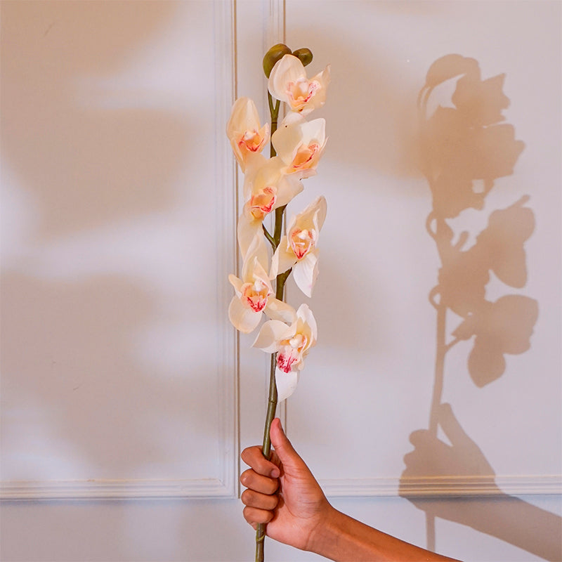 Buy Faux Silicone Cymbidium Orchid Flower Stick (White) - 35 CM Artificial Flowers from Vaaree