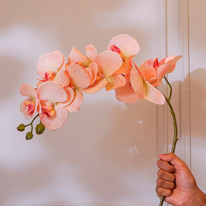 Buy Faux Orchid Flower Stick (Peach) - 38 CM Artificial Flowers from Vaaree