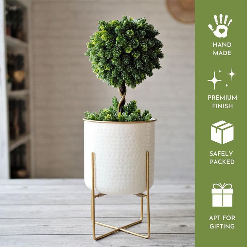 Buy Rhaella Iron Planter - Big Pots & Planters from Vaaree