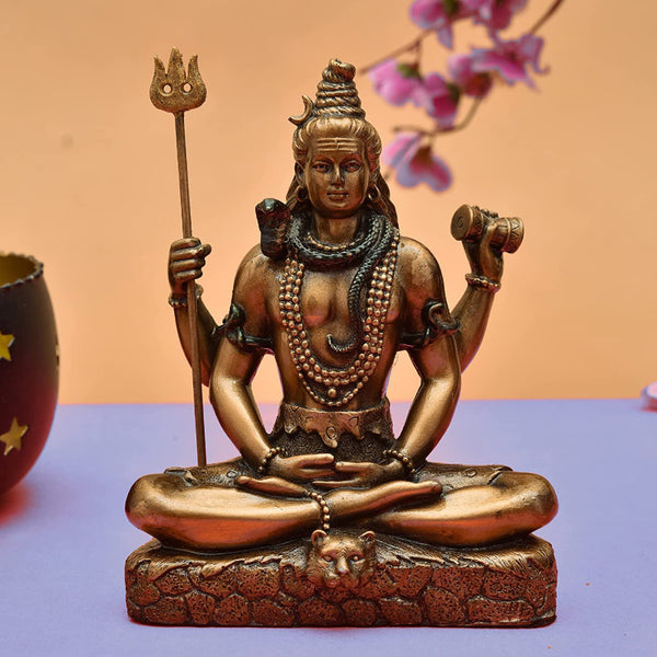 Shiva Bronzwe Idol