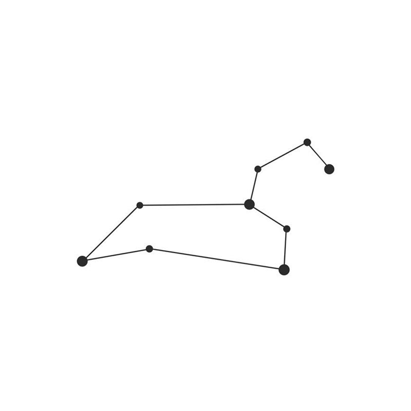 Wall Accents - Leo Constellation Black Wall Art