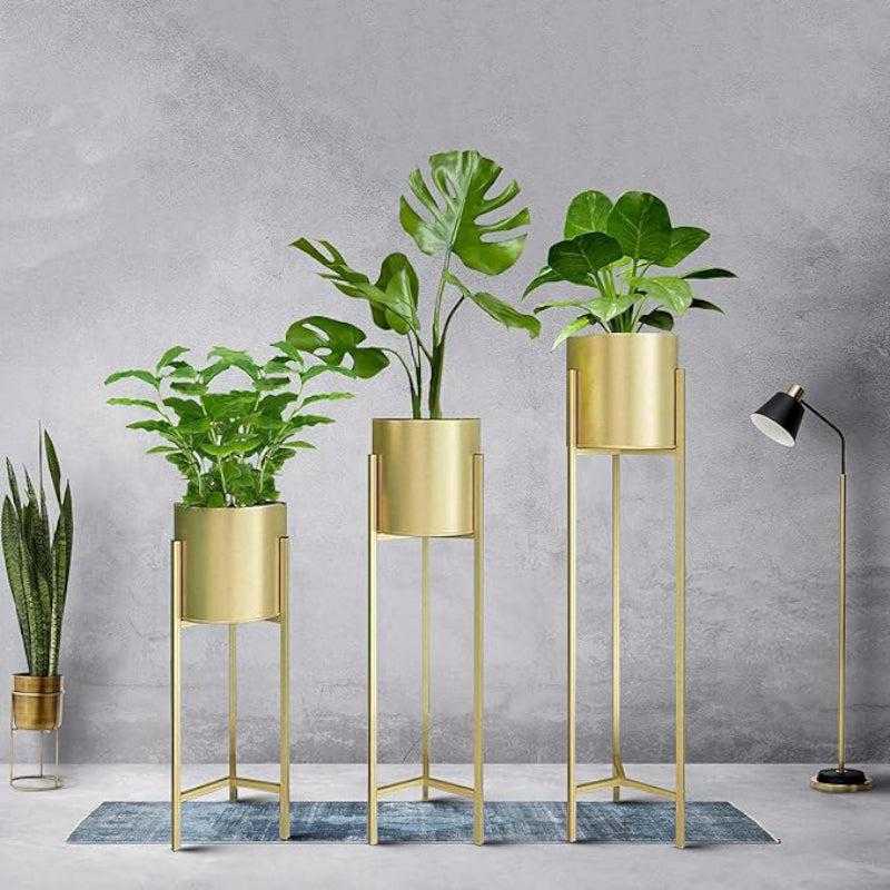 Buy Liva Metal Floor Planter - Set Of Three Pots & Planters from Vaaree