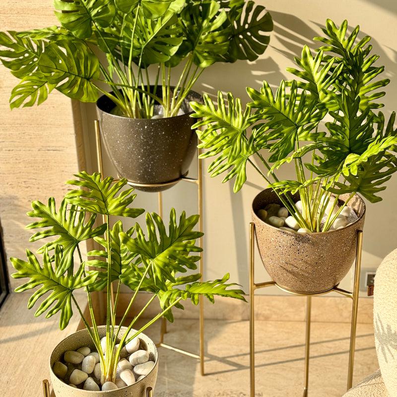 Buy Maaka Speckled Planter - Set Of Three Pots & Planters from Vaaree