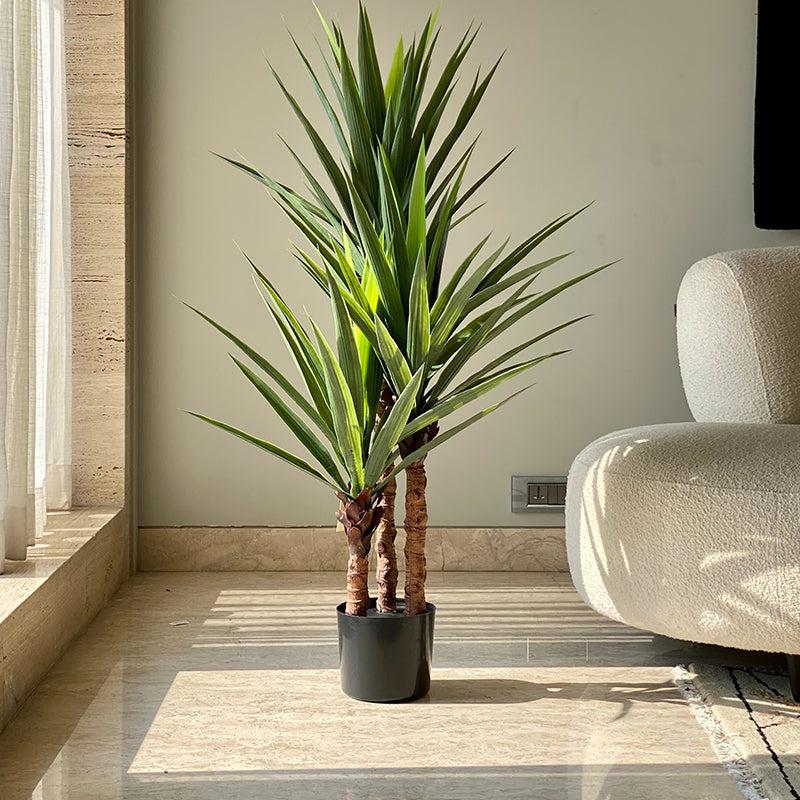 Buy Faux Yucca Tree - 4 Feet Artificial Plants from Vaaree