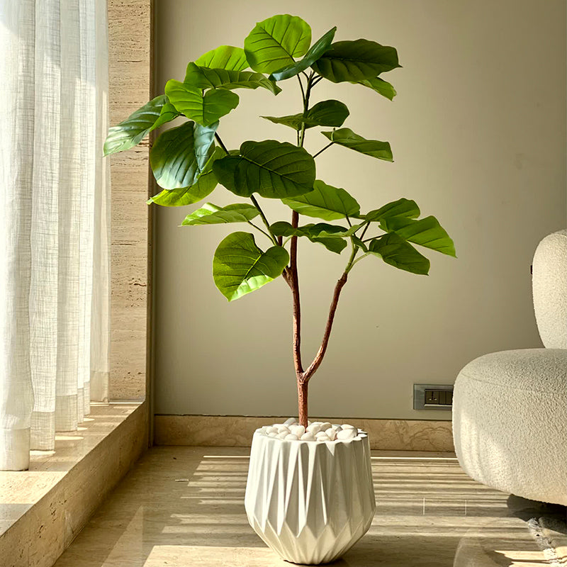 Artificial Plants - Faux Ficus Umbellata Tree - 4 Feet