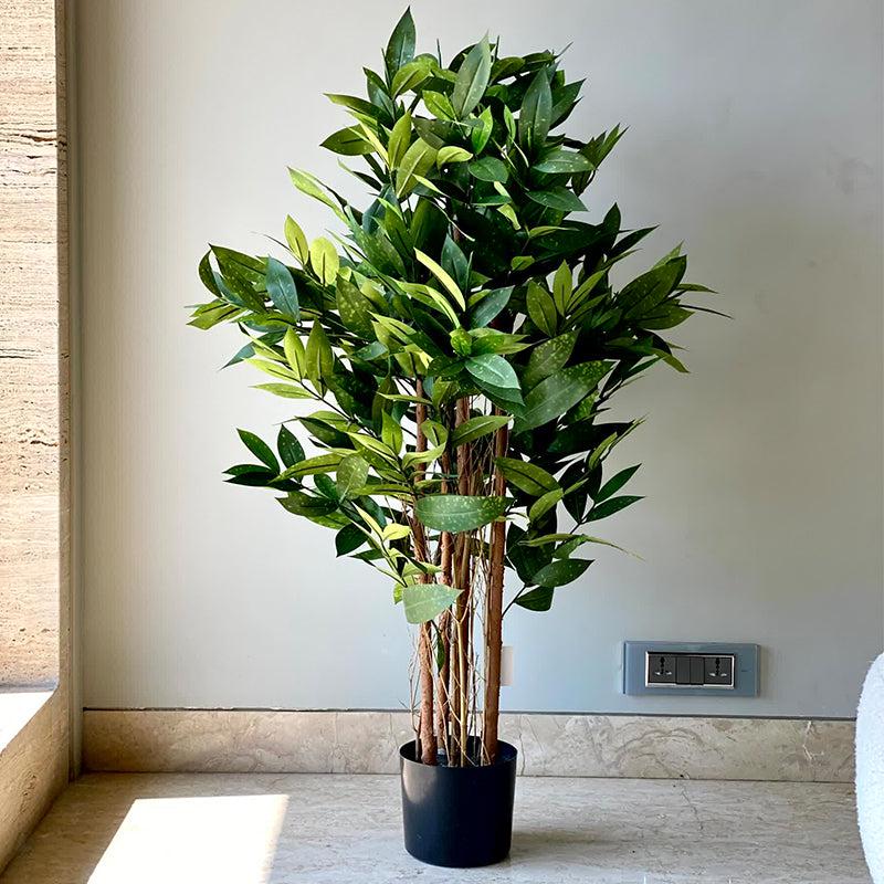 Buy Faux Dracaena Surculosa Tree - 4 Feet Artificial Plants from Vaaree