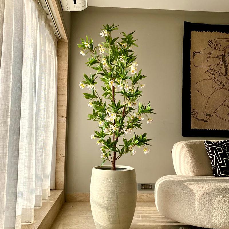 Buy Faux Blueberry Ash Tree - 6 Feet Artificial Plants from Vaaree