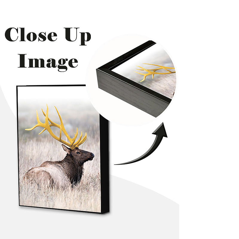 Wall Art & Paintings - Gilded Antler Wall Painting - Set Of Three