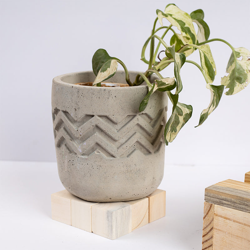 Buy Urva Concrete Planter Pots & Planters from Vaaree