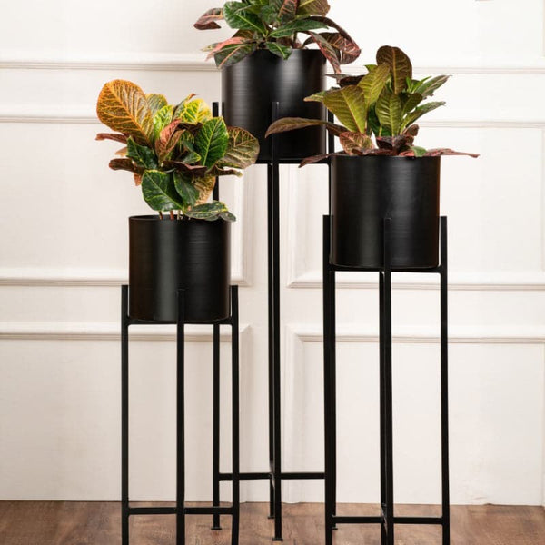 Buy Cyra Black Metal Planters - Set Of Three Pots & Planters from Vaaree