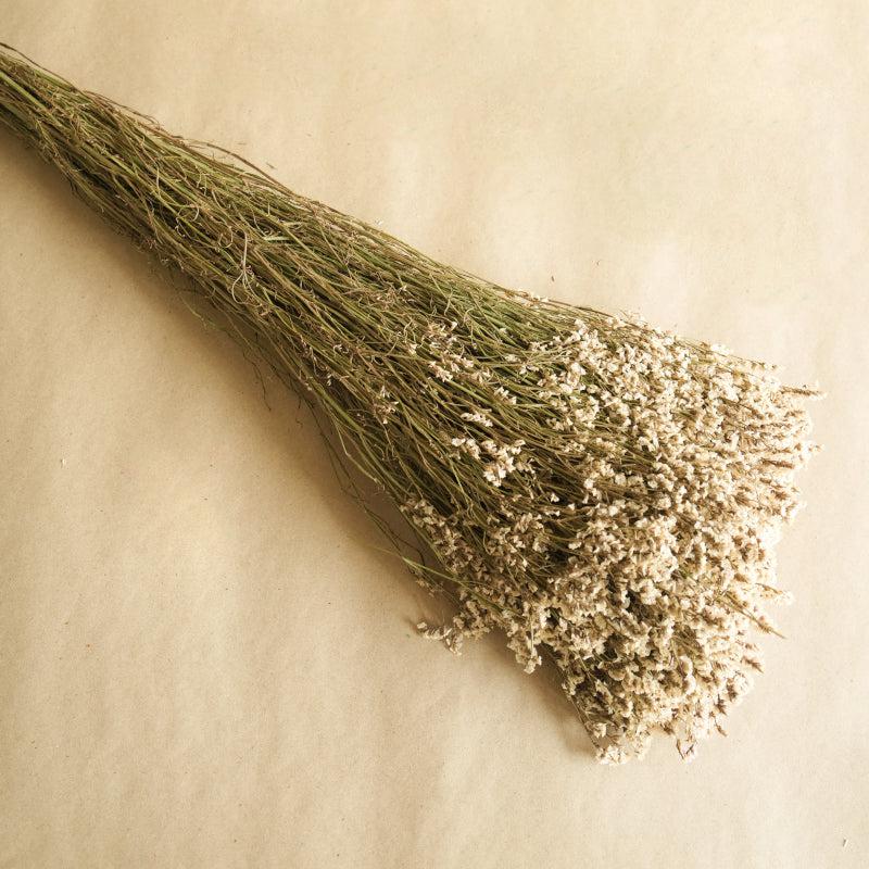 Buy Dried Start Millet Grass Stem - Set Of Five Artificial Flowers from Vaaree