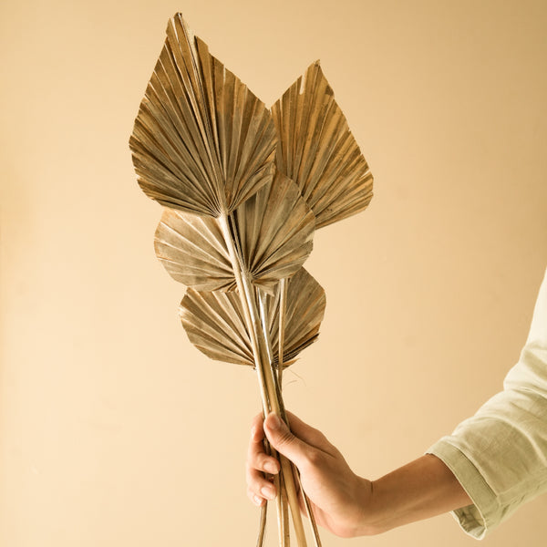 Artificial Flowers - Dried Dual Tone Palm Leaf (Golden Silver) - Set Of Five