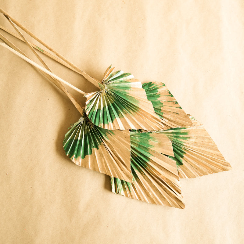 Artificial Flowers - Dried Dual Tone Palm Leaf (Golden Green) - Set Of Five