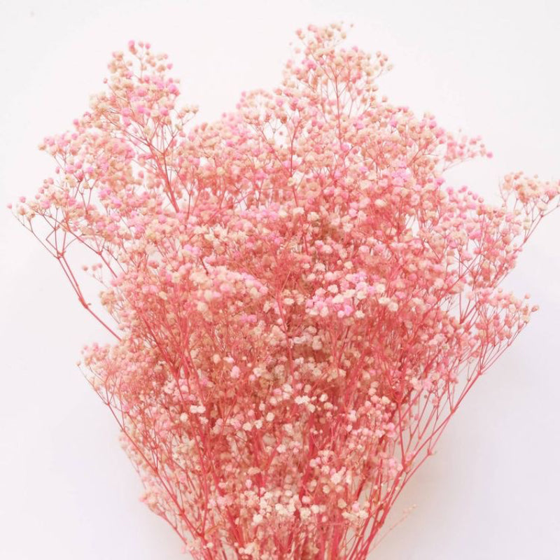 Artificial Flowers - Dried Baby's Breath Stem (Pink) - Set Of Three